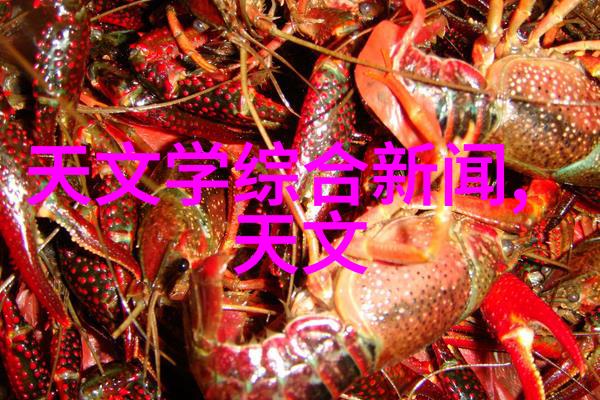 安全高效的建筑搭建扣件式脚手架的应用与优势
