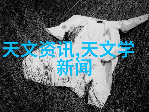 在购买全景天窗时应考虑其对保养成本的潜在影响吗