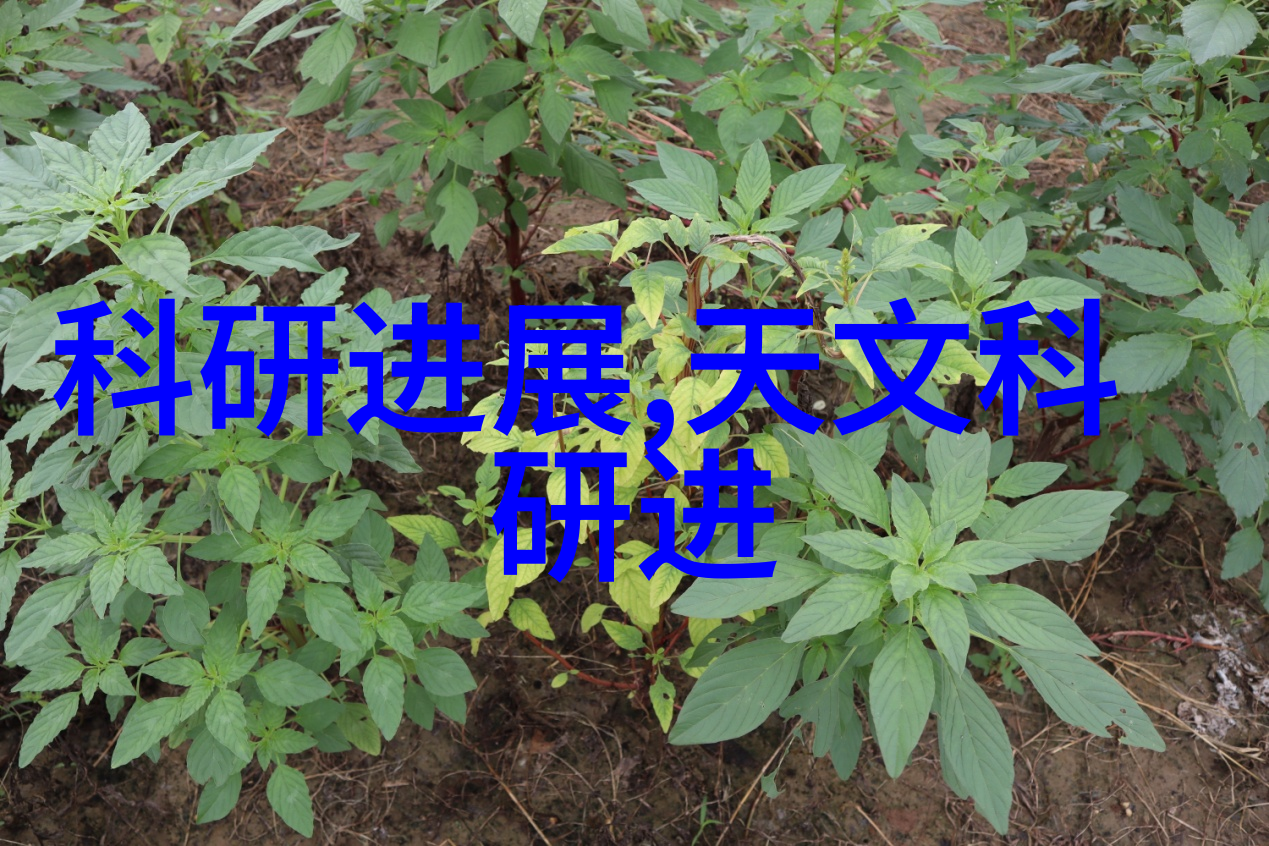 工地喷雾降尘装置我来告诉你如何让施工现场不再是大片灰尘的战场