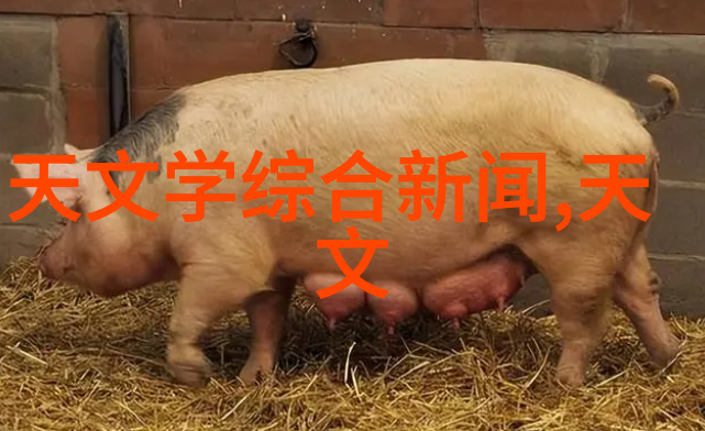 梦中的爱爱的梦境