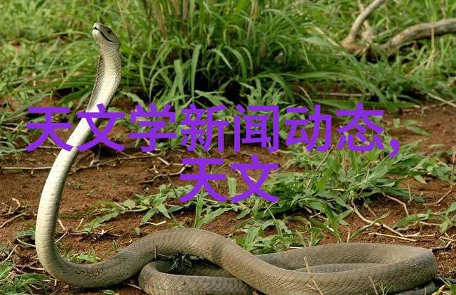 化工制冷设备让你凉爽一夏的必备神器