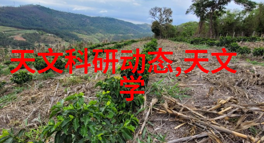 气力输送设备厂家-高效节能的未来深入探索气力输送设备技术与应用