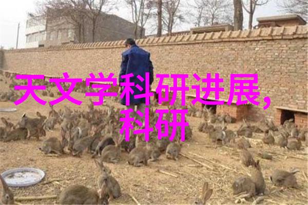 人造石材在建筑应用中的创新与挑战材料科学与可持续性视角的探讨
