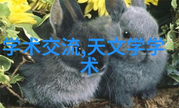 智能建造专业与坑的辨识