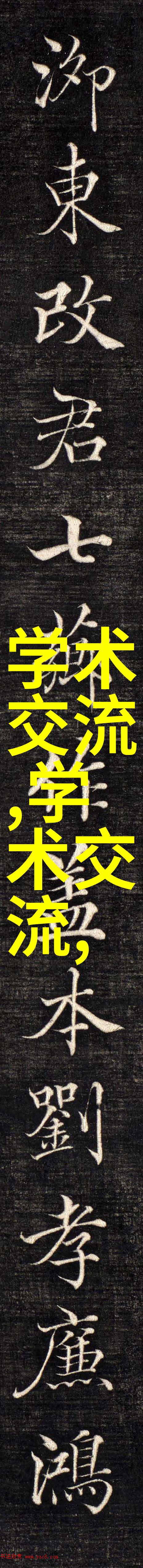 心灵深渊的回声探索抑郁自评量表的无形边界