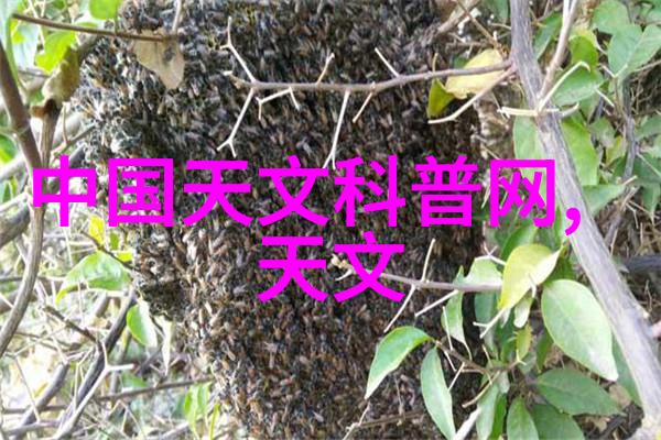 人才素养测评智慧的镜鉴与未来之舟