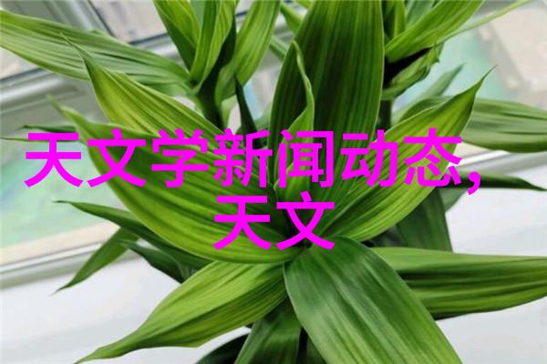 世联行股票全球投资机会的选择