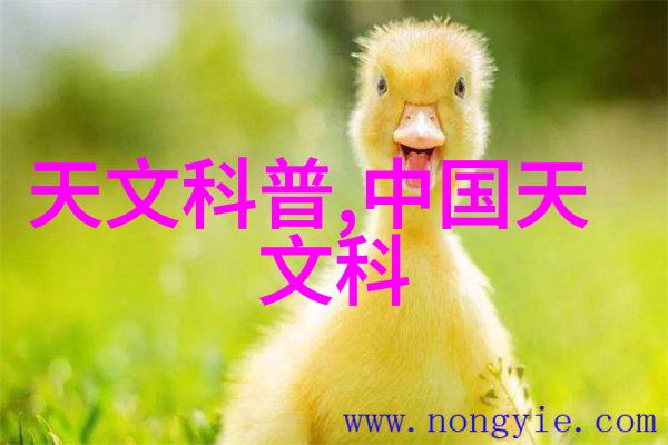 炮灸疗法-古老中医灸法与现代科技的结合