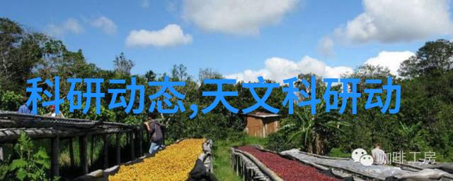 热风干燥设备我的日常守护神