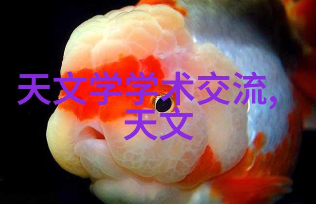 炭黑之梦褐煤干燥设备的奇迹运作