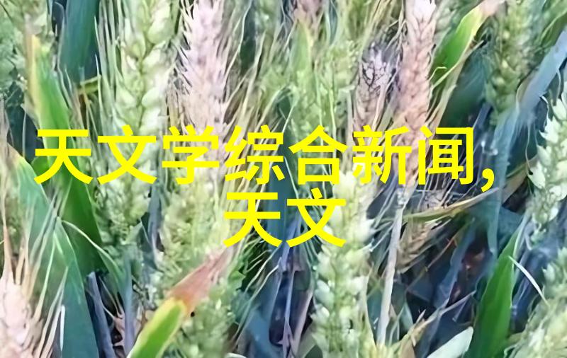 新乡职业技术学院技艺传承与创新梦想的交响曲