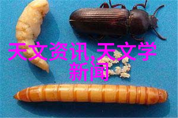 青岛家庭装修风格传统还是现代