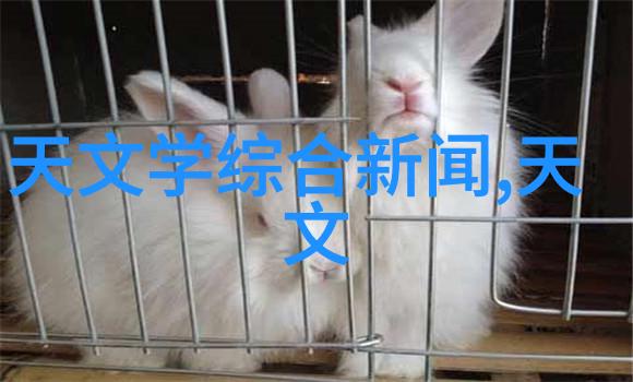 注射剂机械我的好帮手