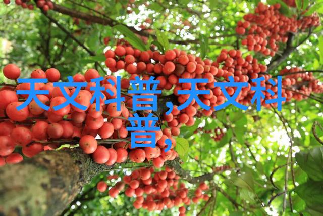 北京等保测评机构名单我来告诉你这些机构的秘密