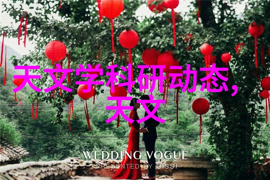 机械心脏颗粒剂的秘密运转与未解之谜