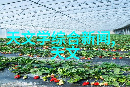 德国矿泉水全自动生产线精密制造的清泉之源