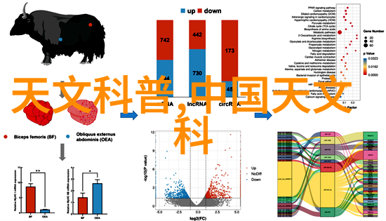 化工灌装机械-高效精准化工行业的灌装技术革新与应用前景