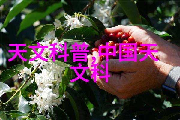 纯净水全套生产设备价格分析与市场趋势研究