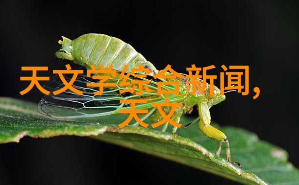石家庄财经职业学院高等教育金融专业职业培训