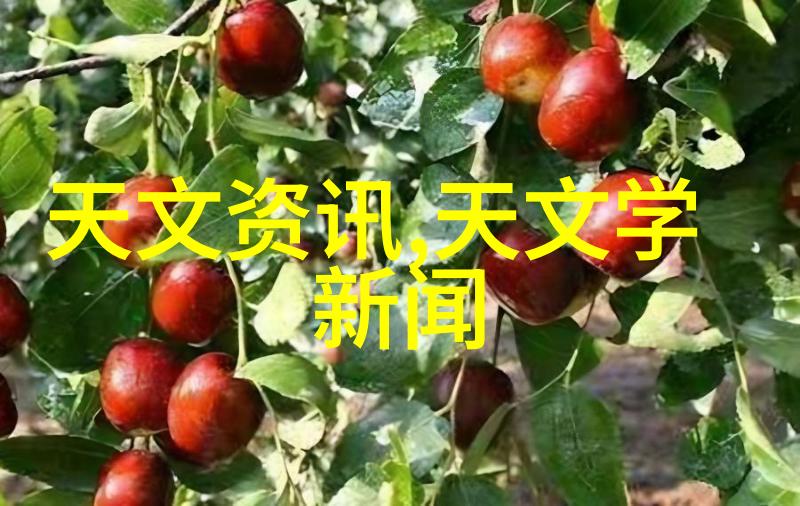 万隆光电新产品发布会圆满成功引领LED行业发展潮流