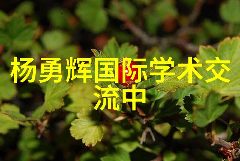 贵州实验室设备-探索科技之城贵州高端实验室设备的崛起与应用