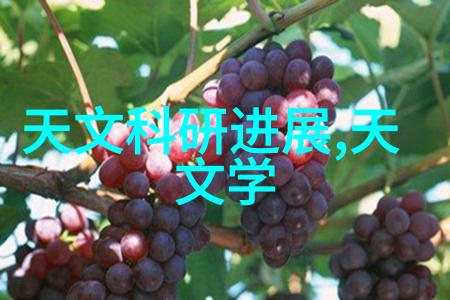 中央财经大学的学术地位985与211的差异解析