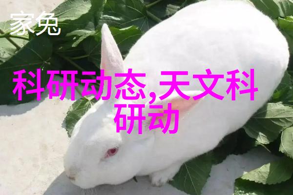 密室中的蒸汽自动高压灭菌器的秘密