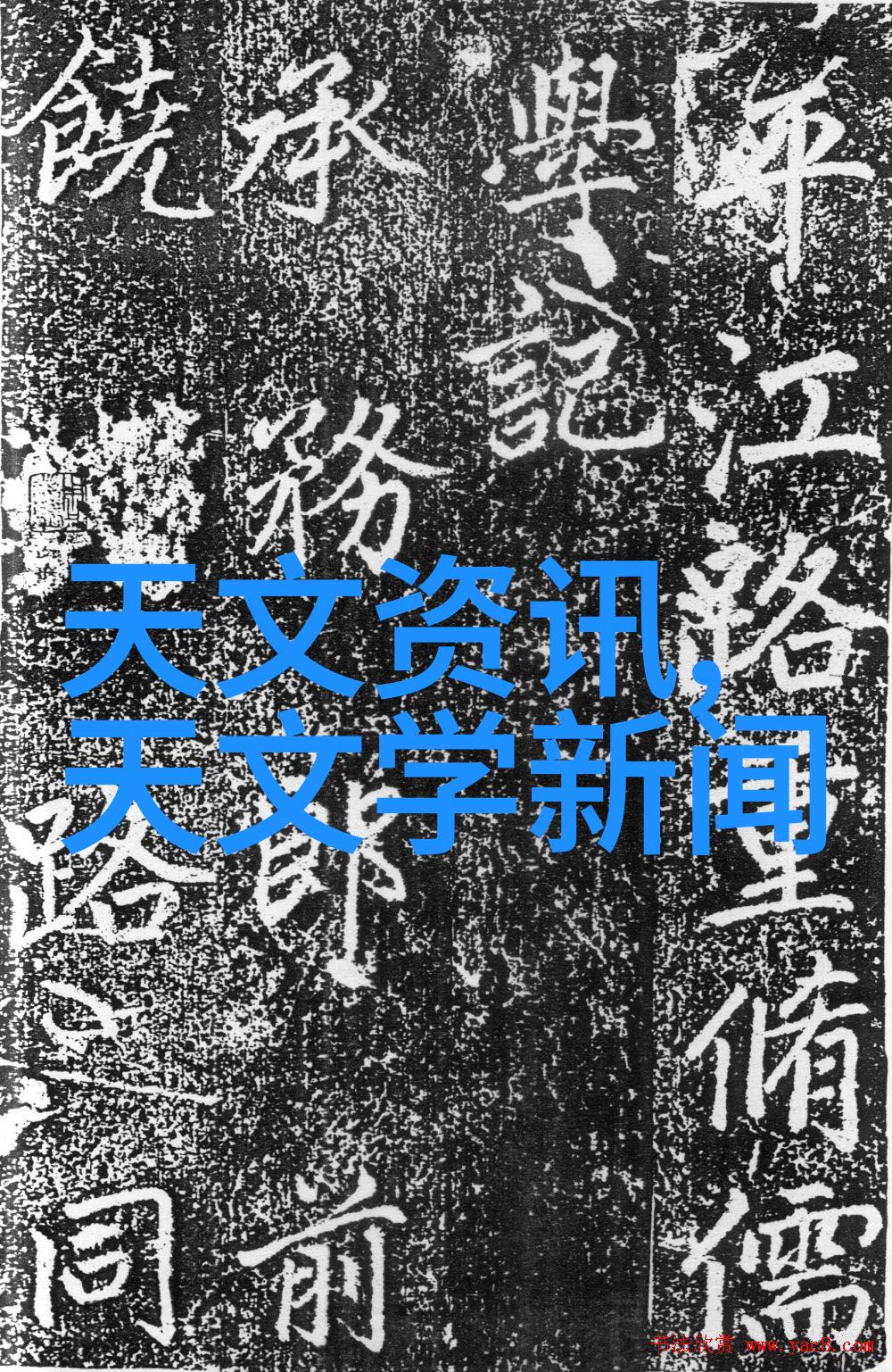 任莹露一位杰出的女性科学家