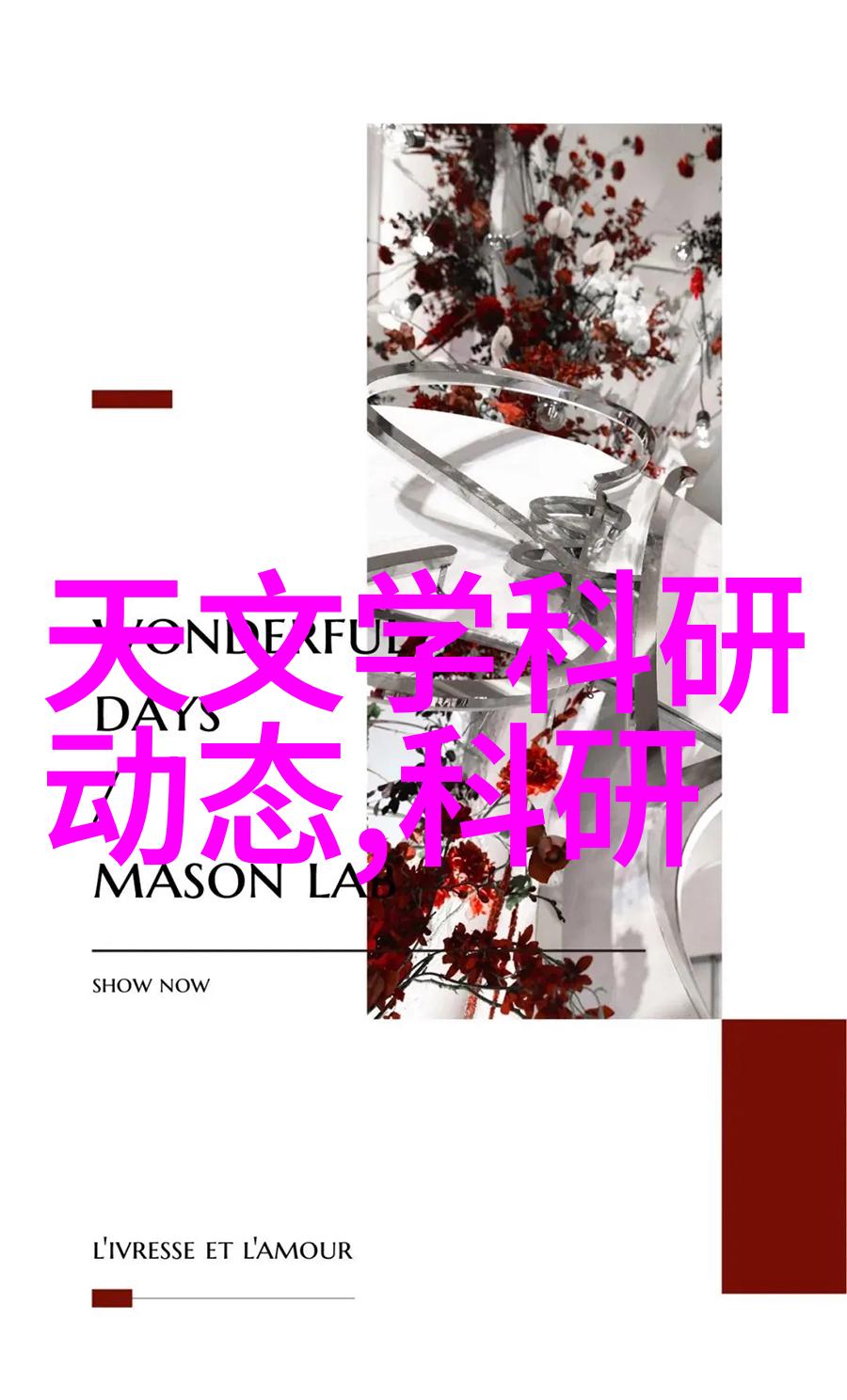 强势婚宠我的宠儿变成家中的女王