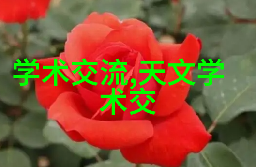 热浸塑钢管成像技术研究与应用概述