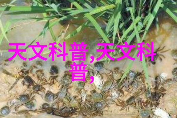 人工智能时代的就业挑战难与机遇并存