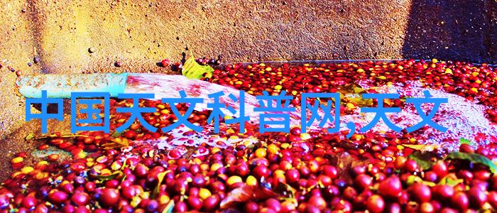 摄影艺术-2021全国摄影大赛官网镜头下的中国美