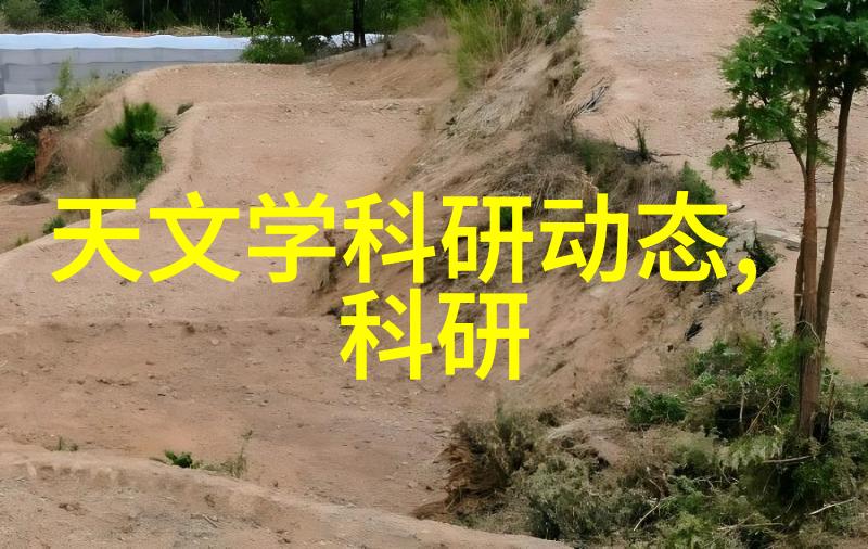 水资源管理在现代社会中扮演了什么角色