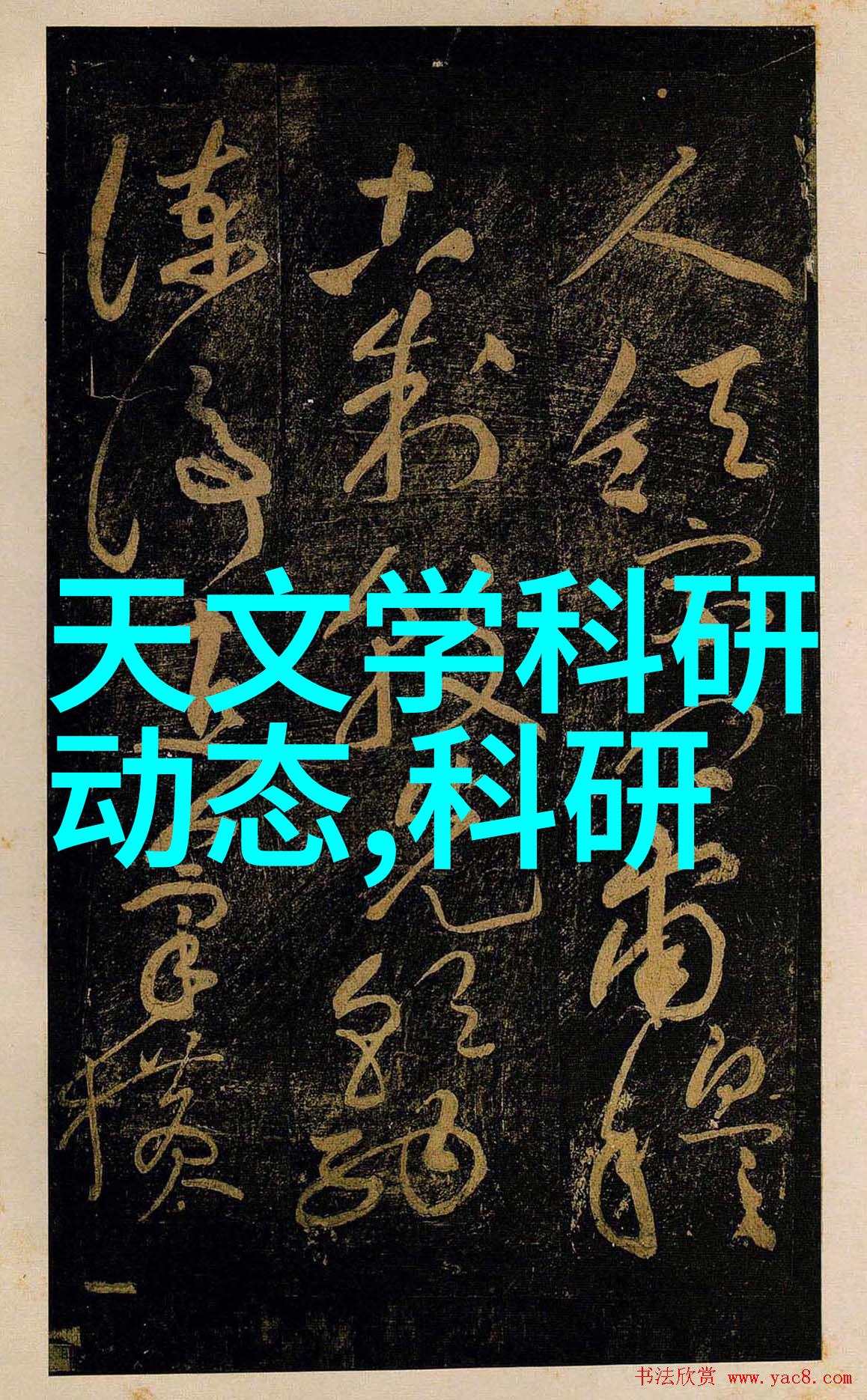 乱世交锋乱世佳人中的性与乱的探讨