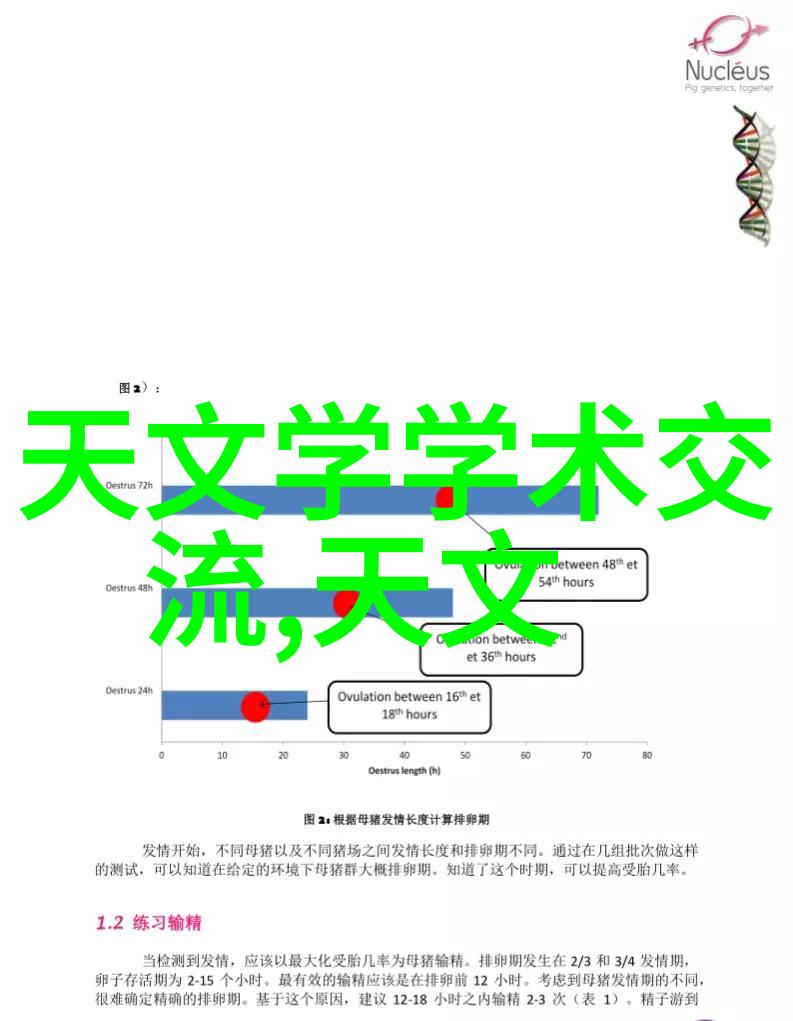 销售团队如何有效地执行和调整销售市场规划方案