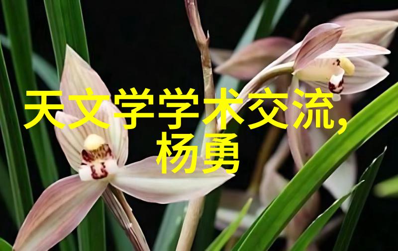 填料塔的奥秘与魅力