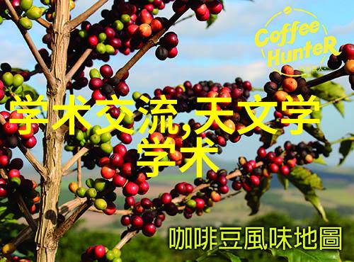 月下绽放暗夜蔷薇魅的诱惑
