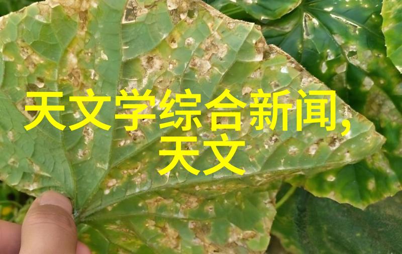 南山之巅的财经法治西南财经政法大学的学术风光