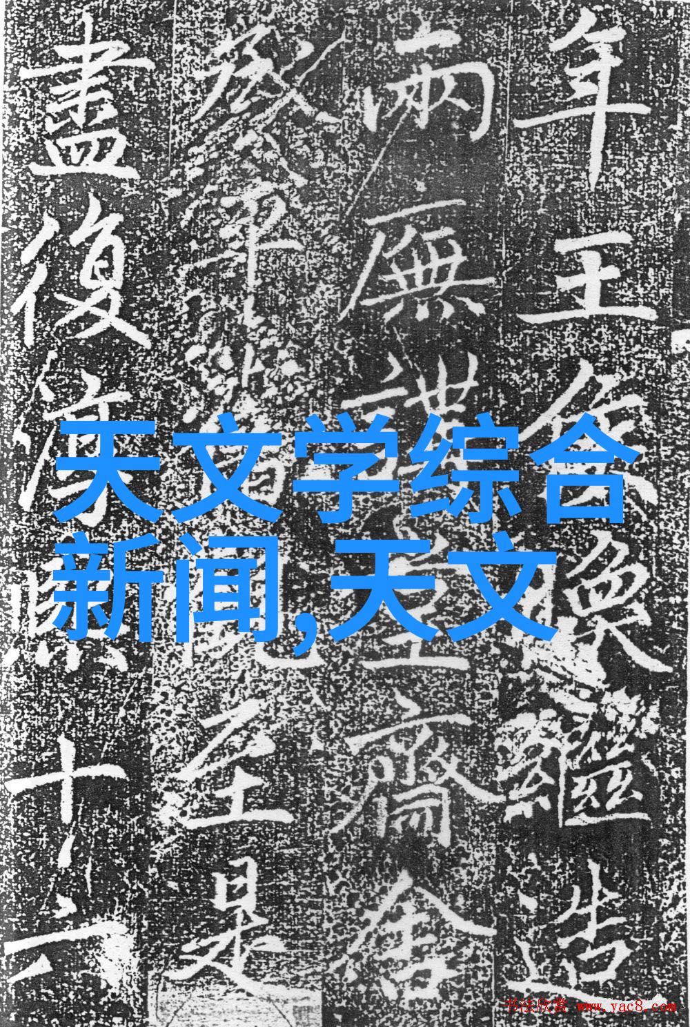 上海财经大学浙江学院的创新之路