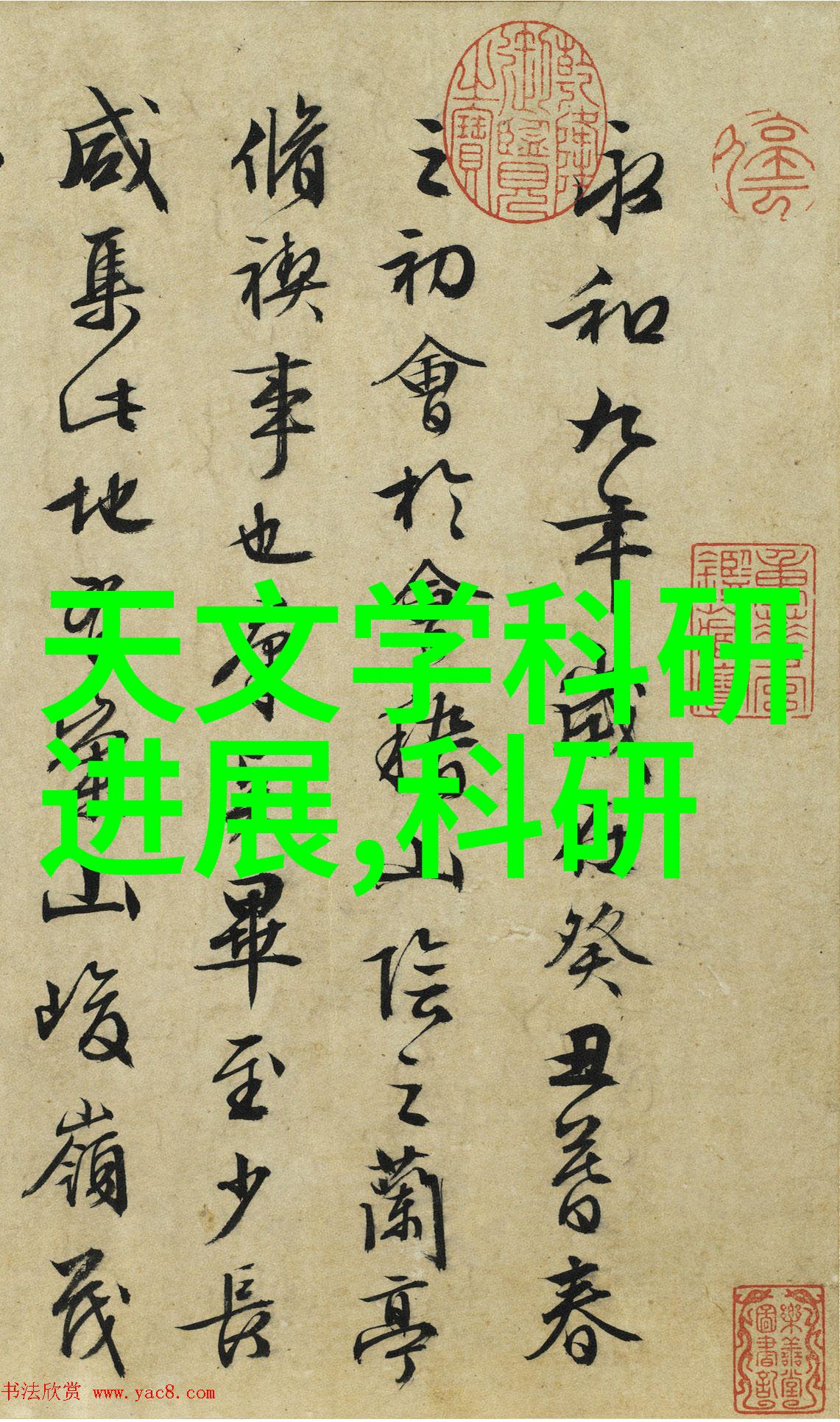 深藏心尖的野玫瑰爱情的隐秘花朵