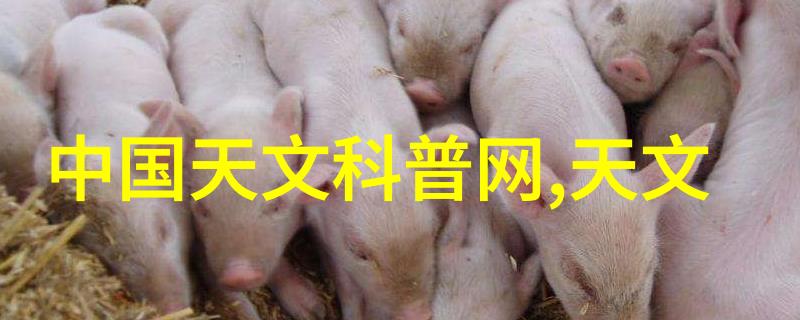 高级显微镜技术在生物医学研究中的应用探究