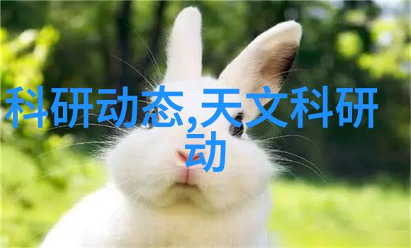 探索时尚趋势学习高端厨房装修设计效果图之美学