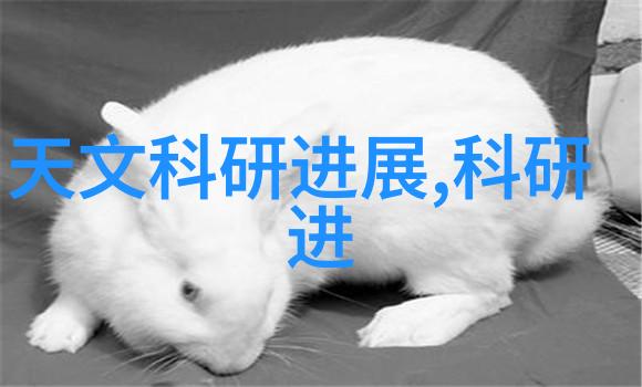 水上乐园设备采购指南大桶水设备的真实成本分析