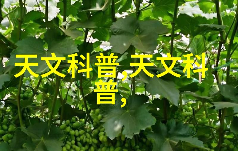 新品管七大手法 - 探索创新管理的智慧之门
