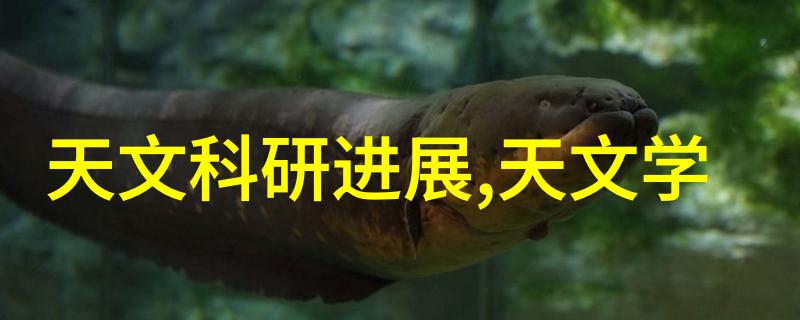 技术奇迹-一亿倍放大揭秘芯片如何重塑我们的视频世界