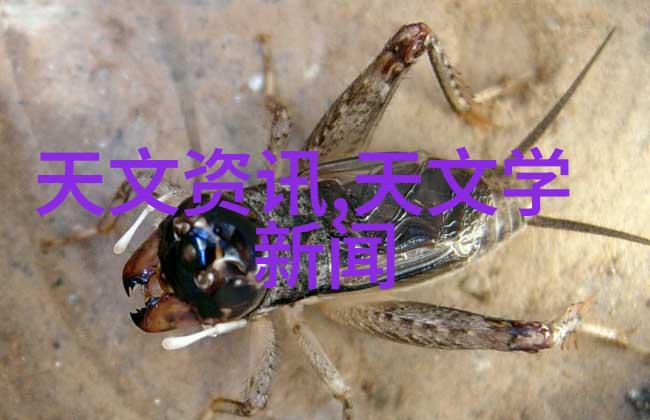 科技经济-2022年全球进口芯片金额激增新一代电子设备需求推动市场增长