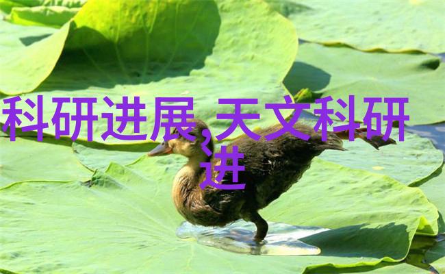 诊所装修设计从简约到奢华反差风格的健康之道