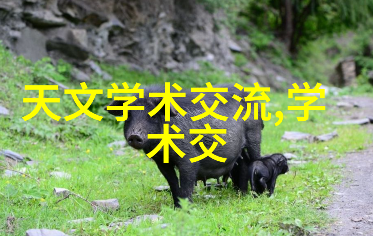 投资一个矿泉水厂大概需要多少钱我是怎么算出来的