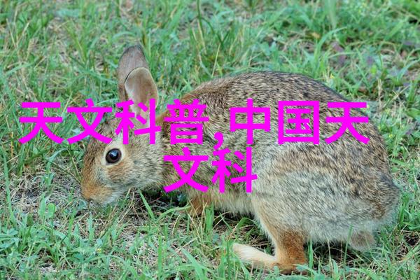 古剑之巅重剑阁的传说与传奇