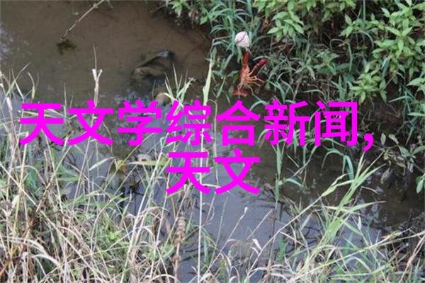 百里南简介与角色分析